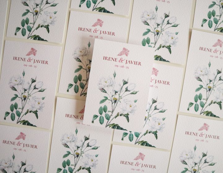 Javier y Irene inv-9