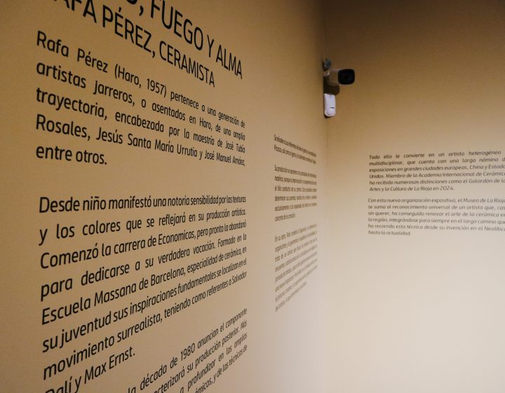 MUSEO-19